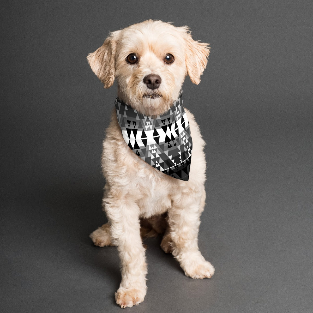 Writing on Stone Black and White Pet's Scarf