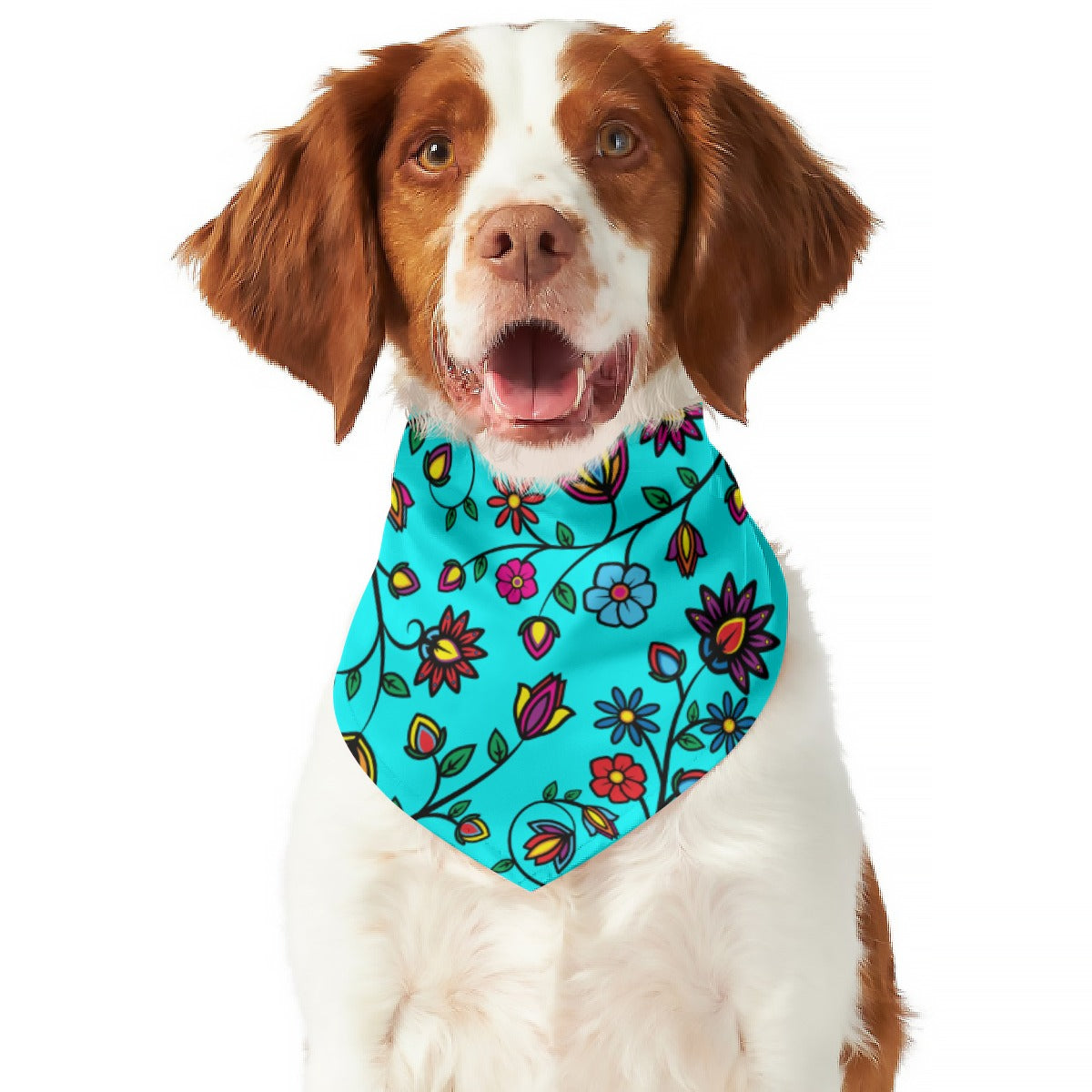 Nature's Nexus Turquoise Pet's Scarf