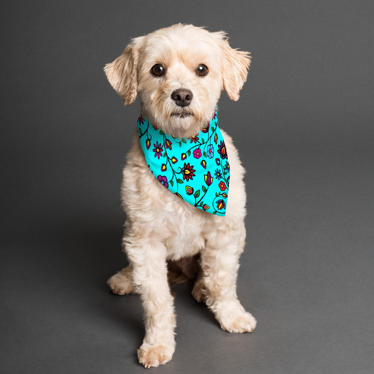 Nature's Nexus Turquoise Pet's Scarf