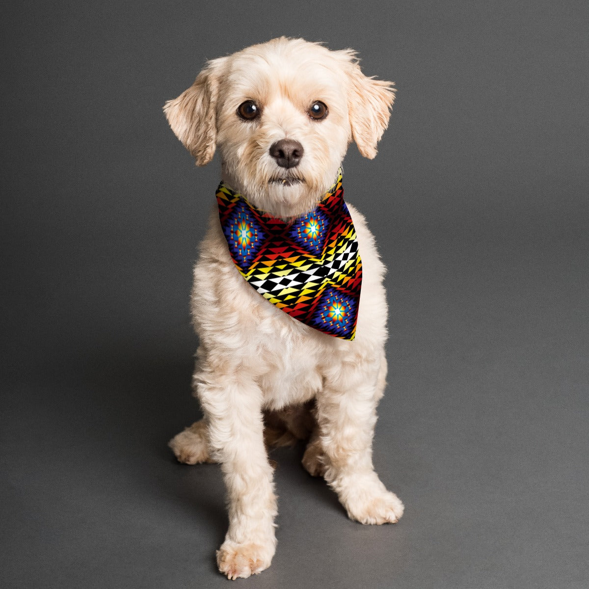 Sunset Blanket Pet's Scarf