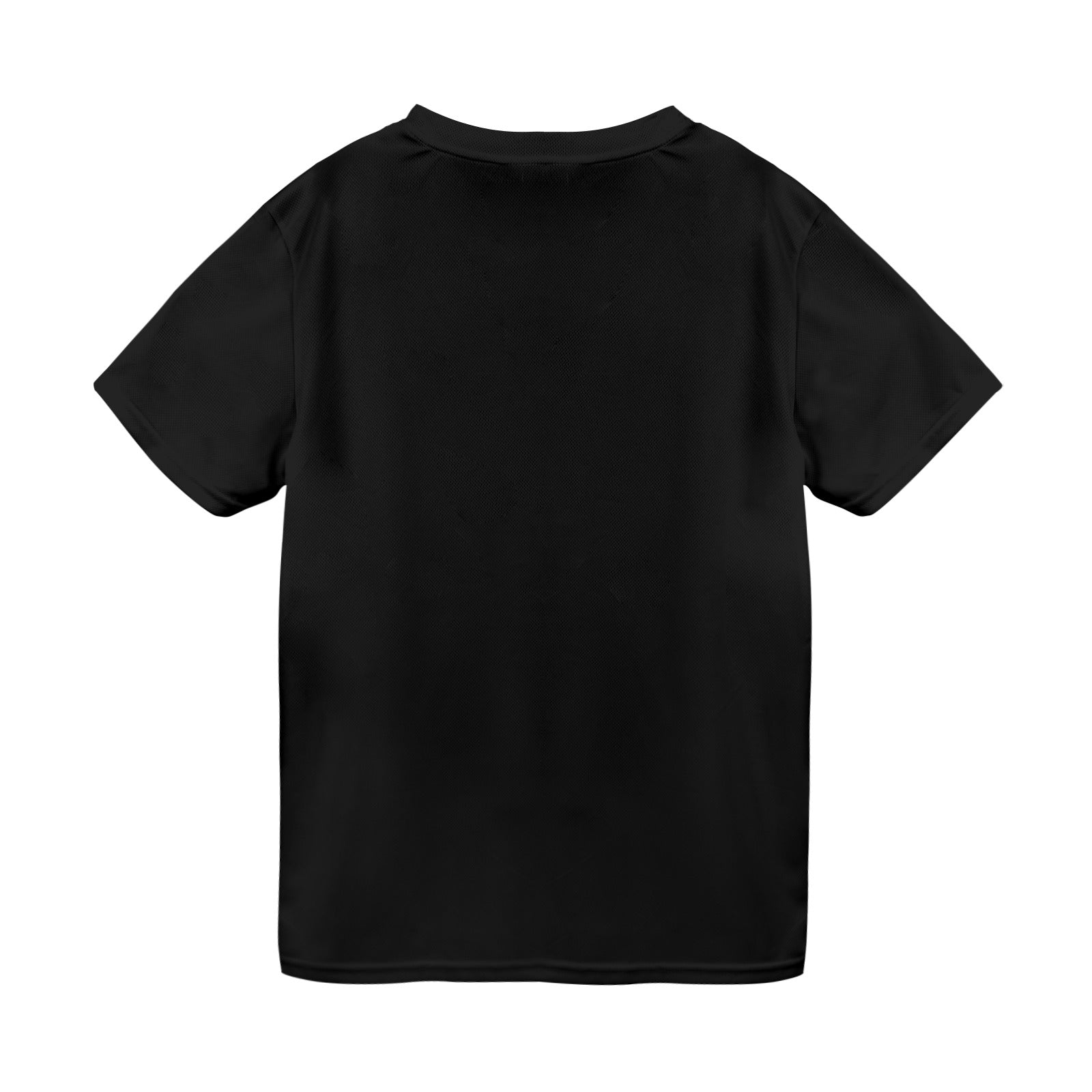 You Can't Secede T-Shirt for Men