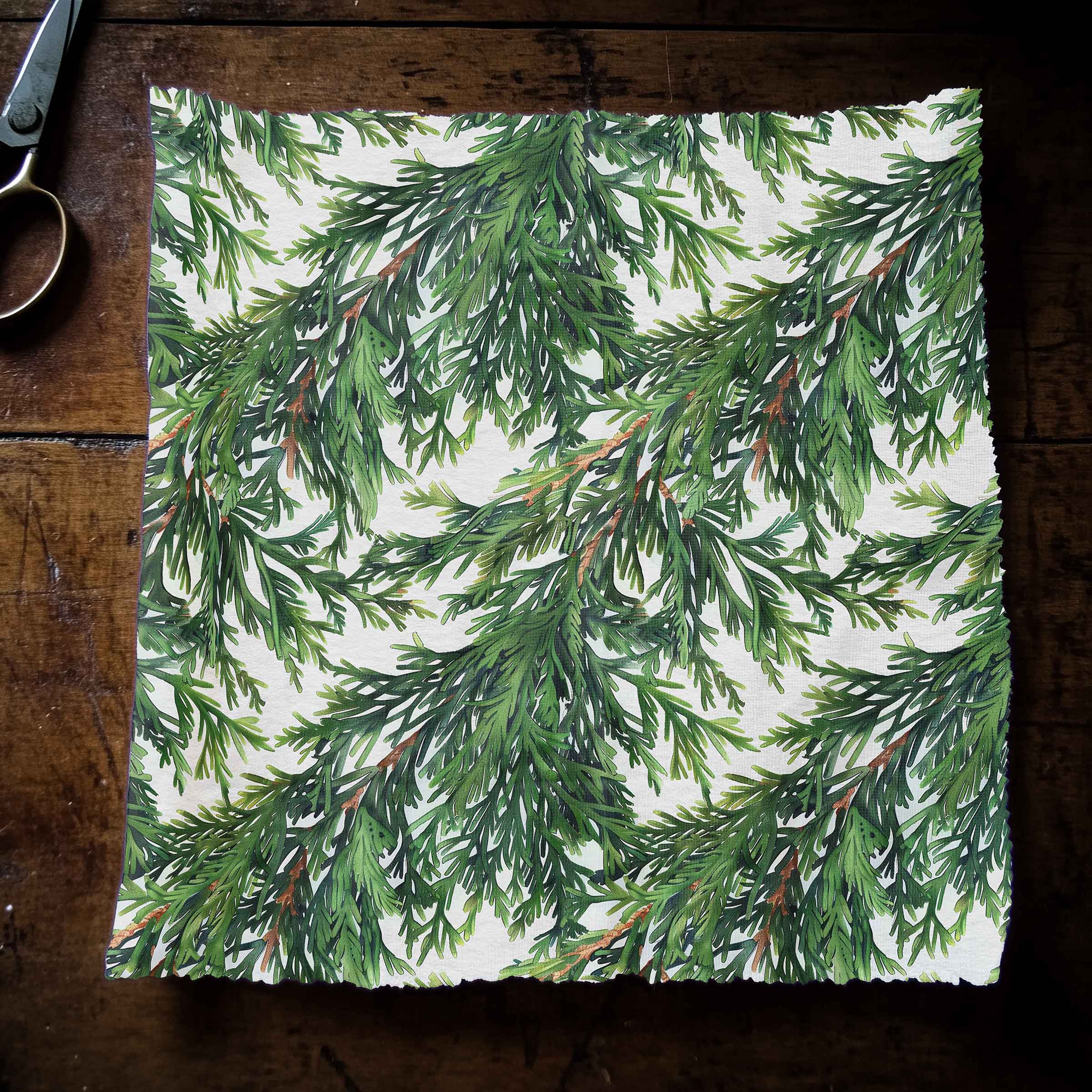 Cedar Protection 42 Inch Cotton Poplin Pre Order