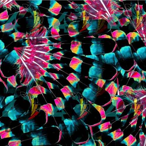 Hawk Feathers Heat Map 42 Inch Cotton Poplin Pre Order