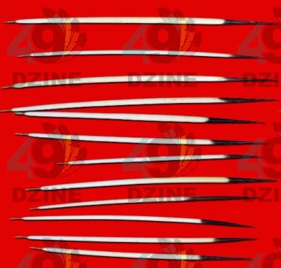 Quills Dancing Red Satin Fabric 49DzineStore