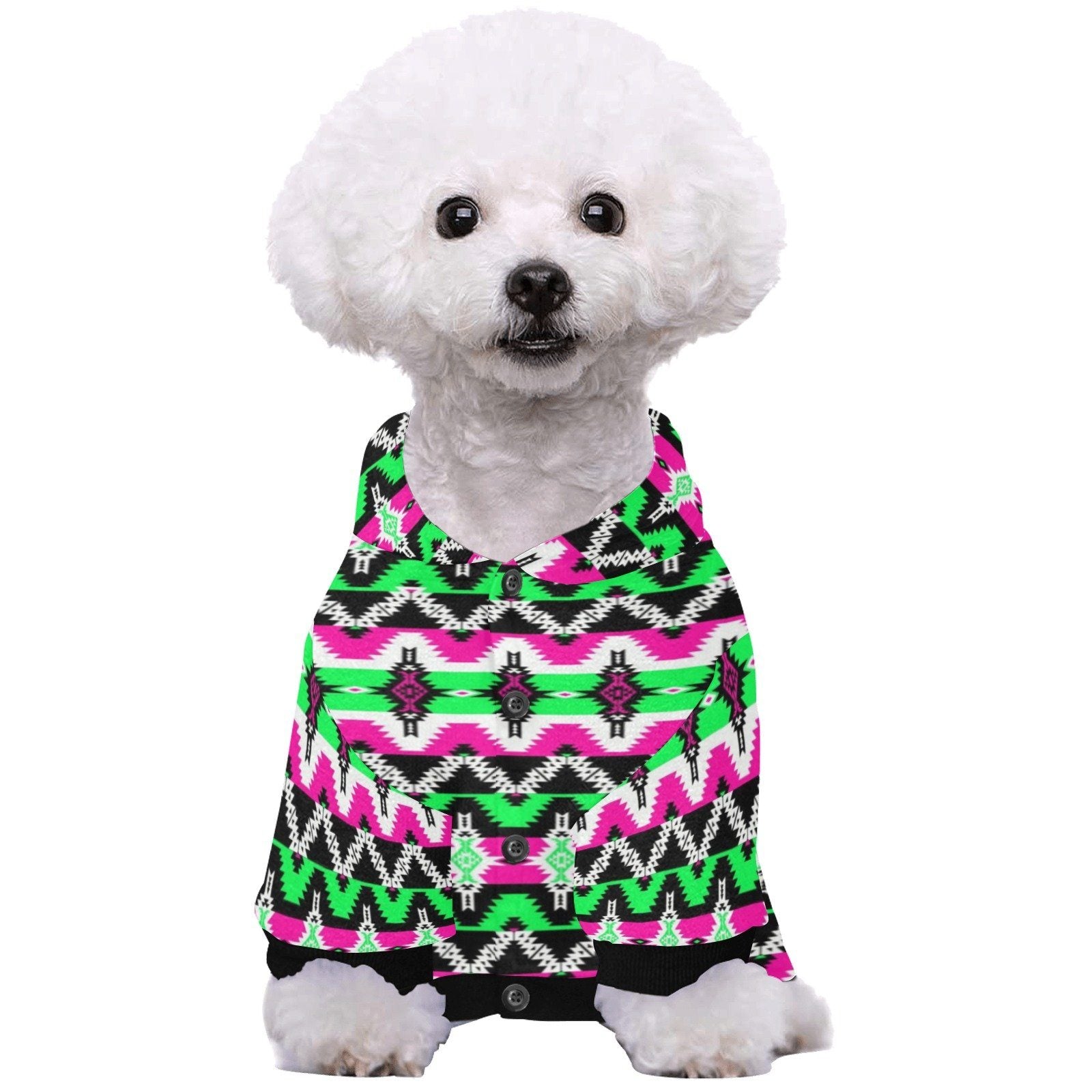 Two Spirit Ceremony Pet Dog Hoodie Pet Dog Hoodie e-joyer