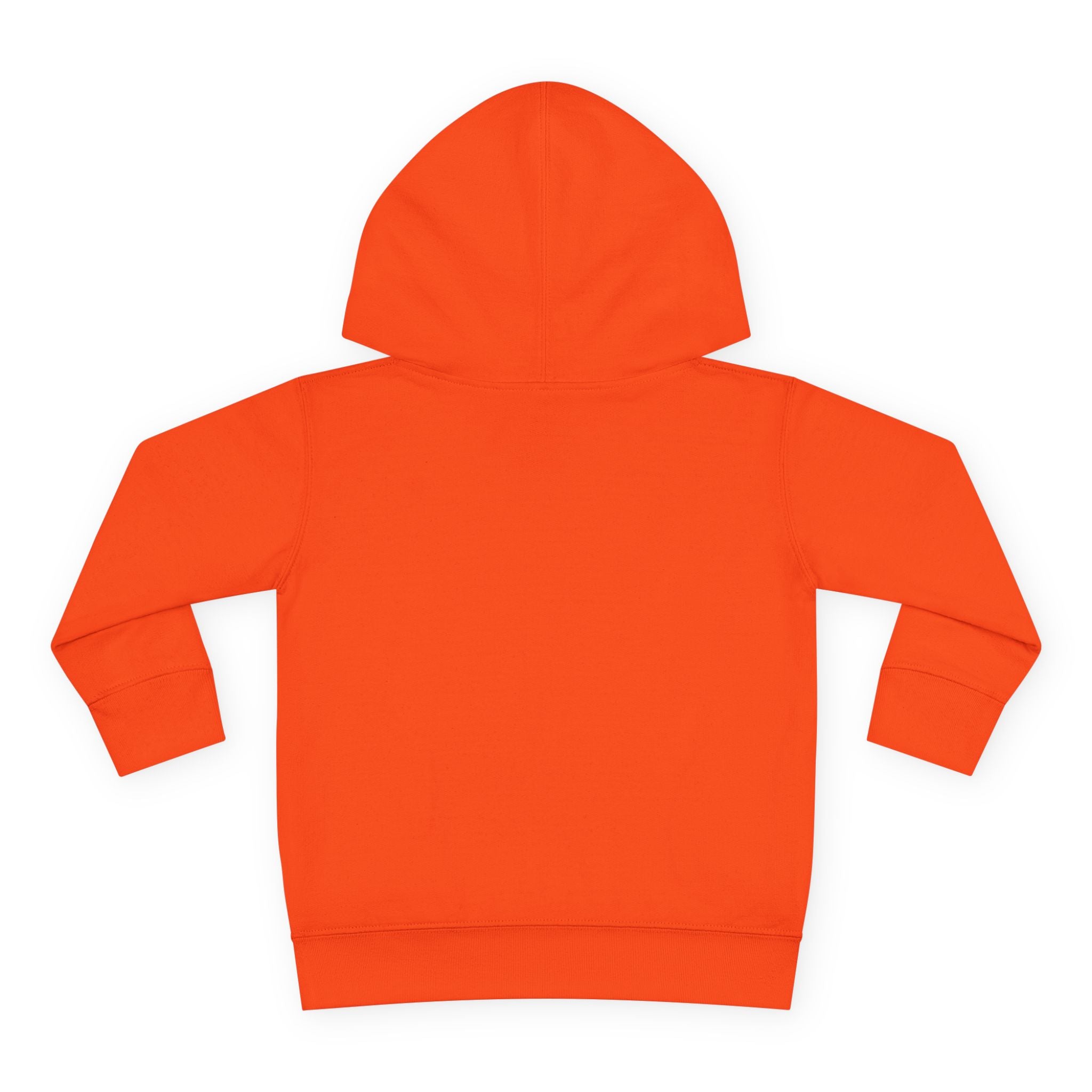 Rooted in Culture Toddler Fleece Hoodie