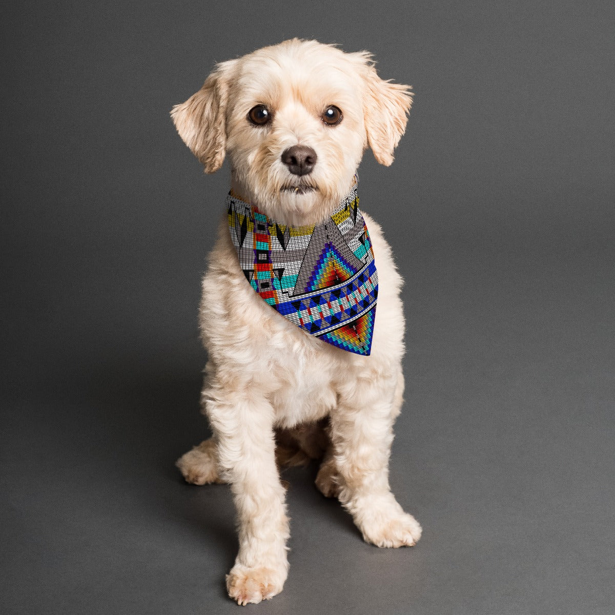 Medicine Blessing White Pet's Scarf