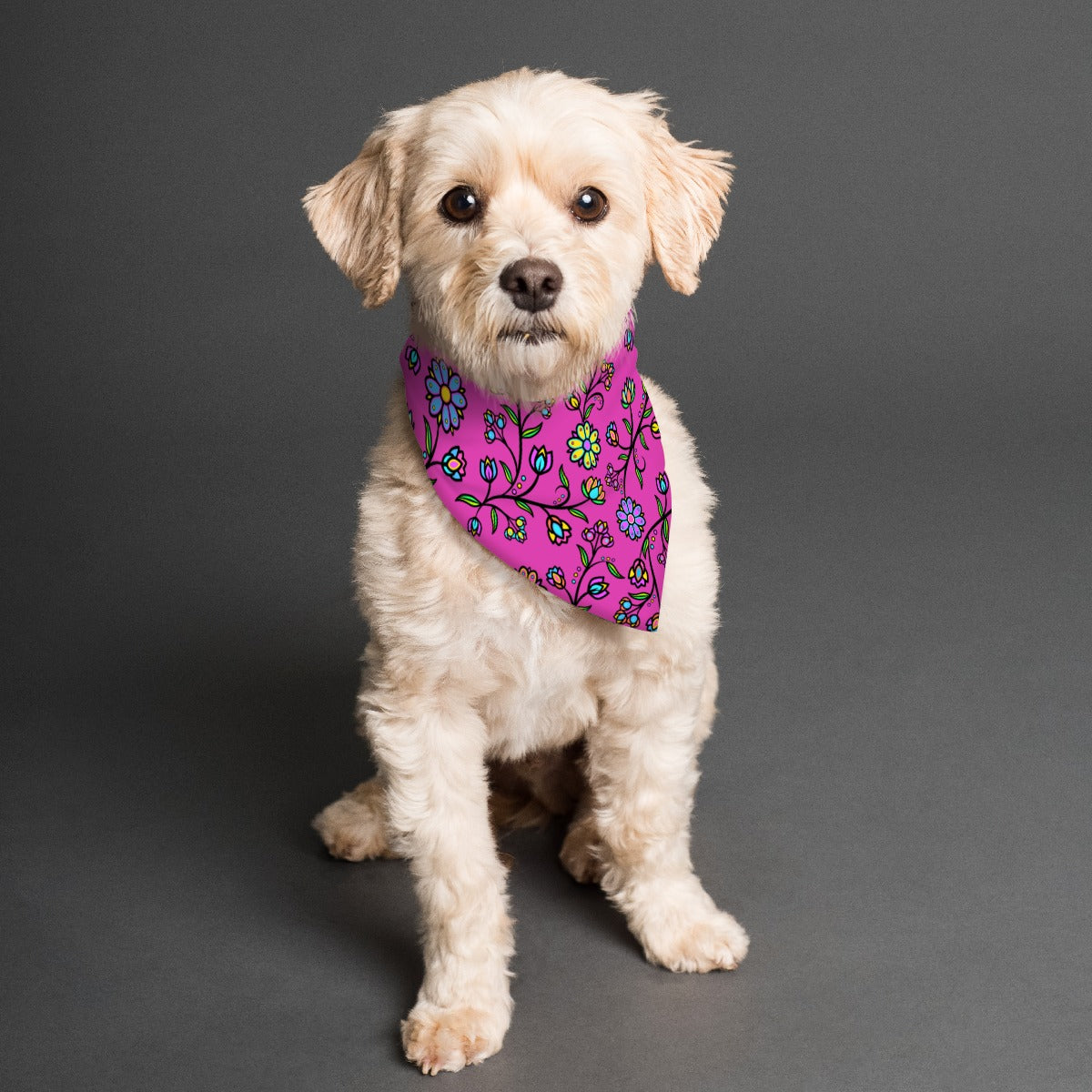 Cosmic Whisper Pastel Passion Pet's Scarf