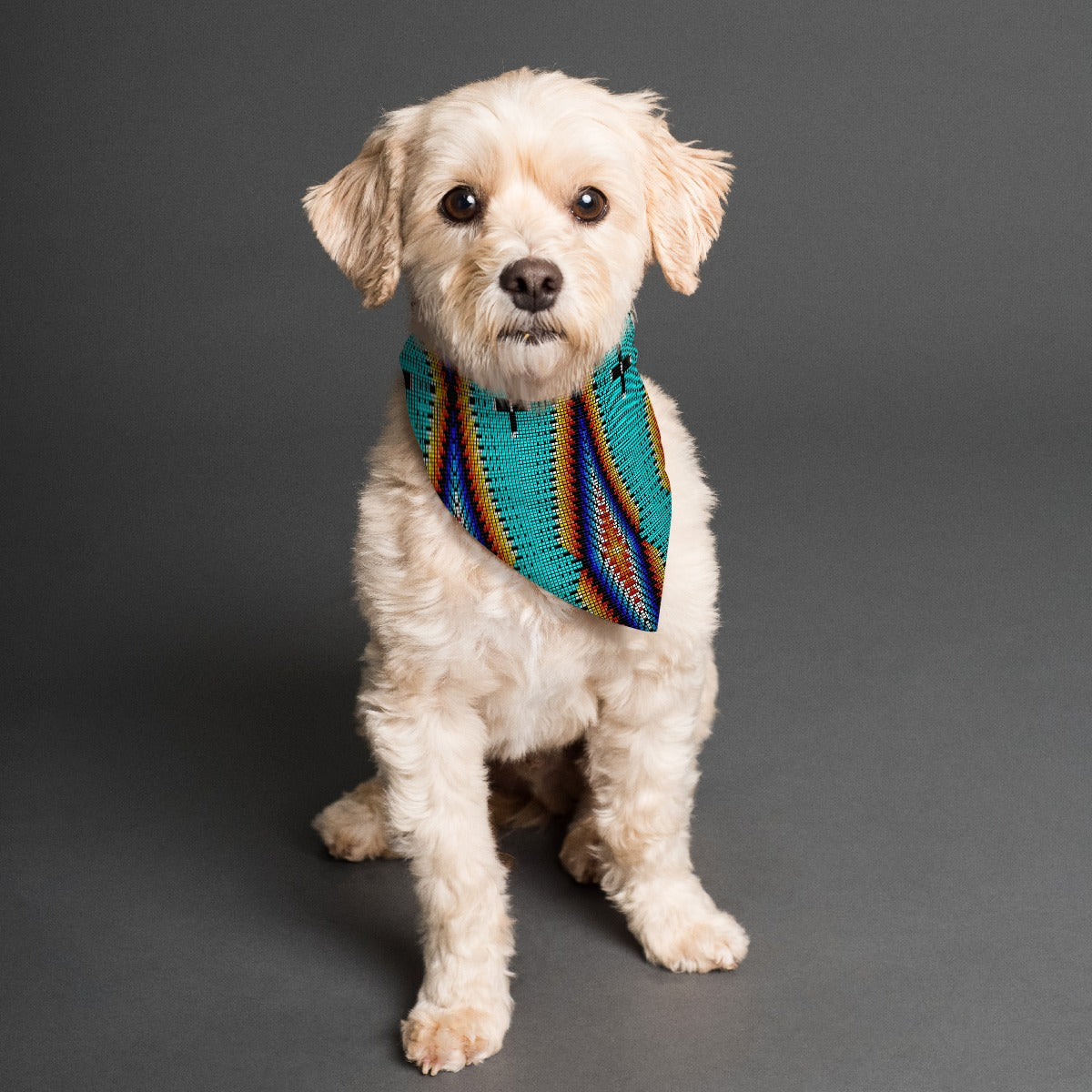 Diamond in the Bluff Pet's Scarf