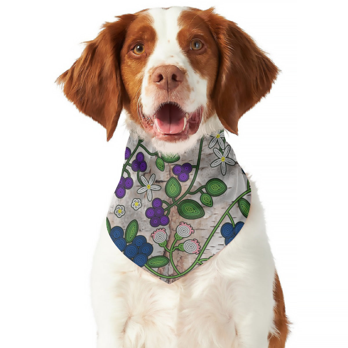 Grandmothers Stories BR Bark Pet's Scarf