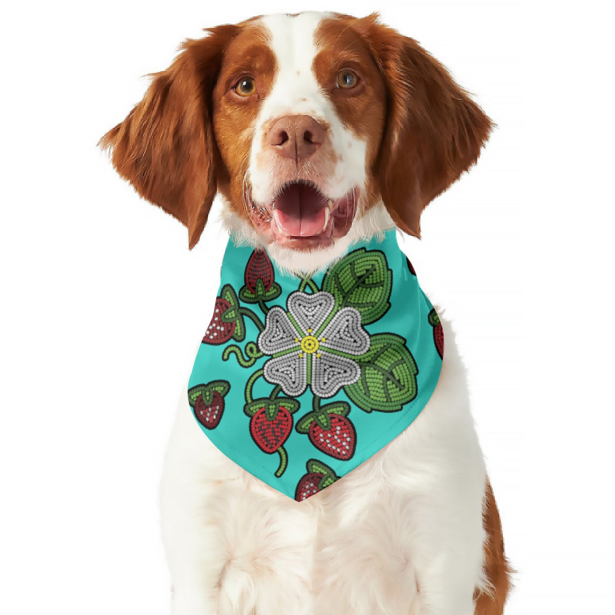 Strawberry Dreams Turquoise Pet's Scarf