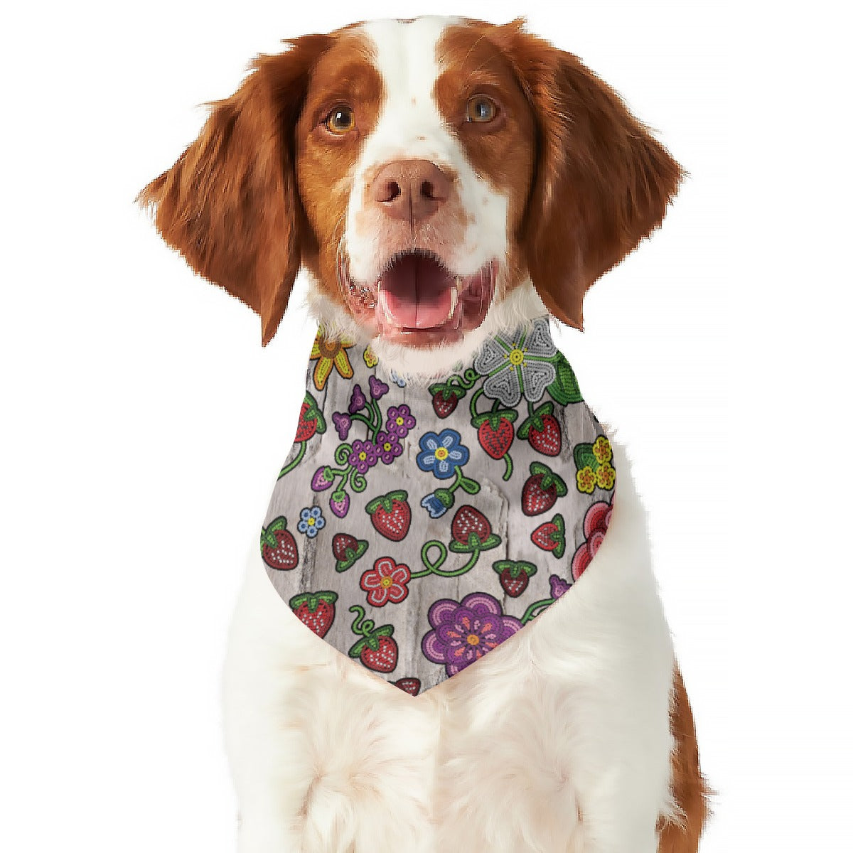 Berry Pop Bright Birch Pet's Scarf