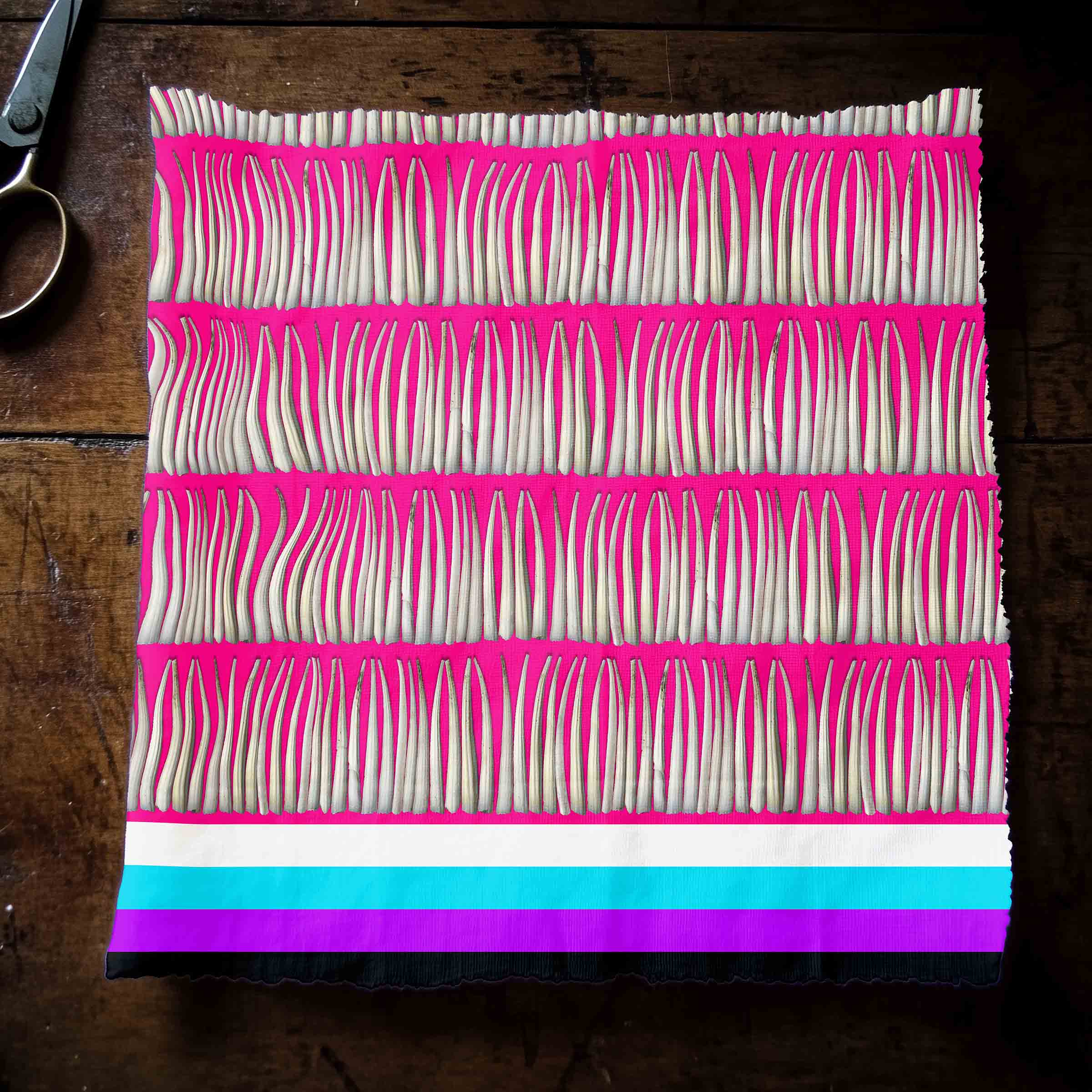 Dentalium on Pink 42 Inch Cotton Poplin Pre Order